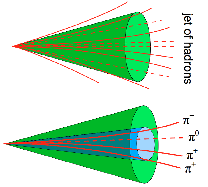Signature of the hadronic decay of the tau lepton