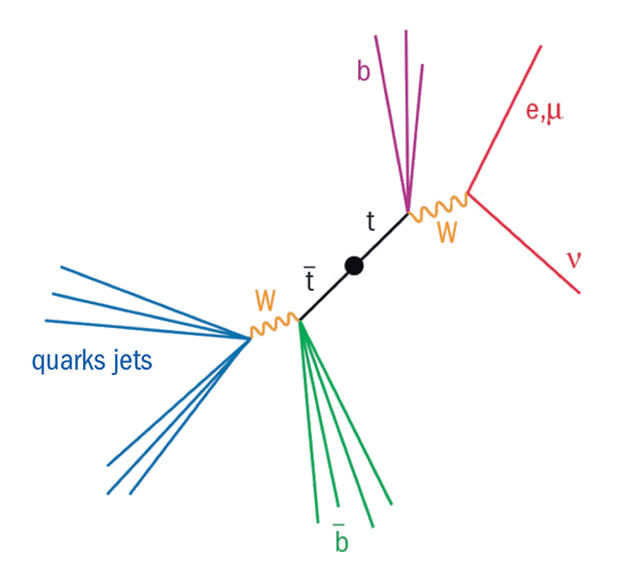 Decay of a top-antitop quark pair,
	 in light quarks, letpon and b-quarks.